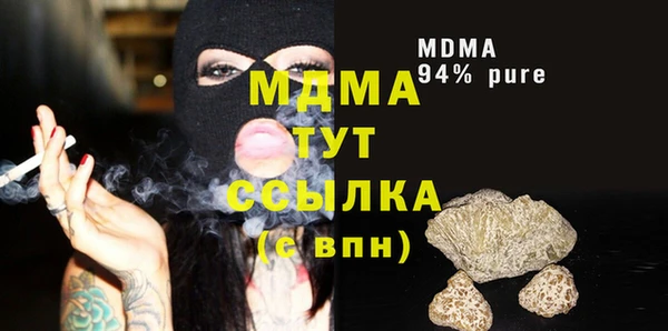 spice Богородск