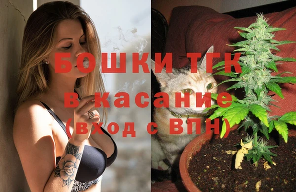 spice Богородск