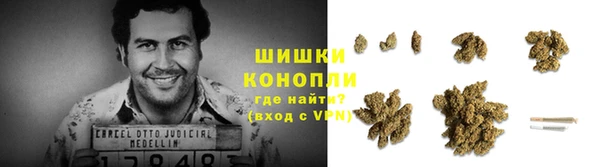 трава Богданович