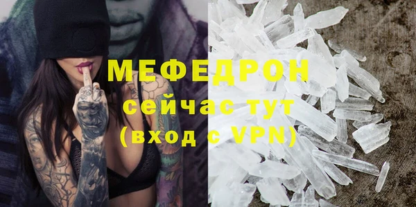 spice Богородск
