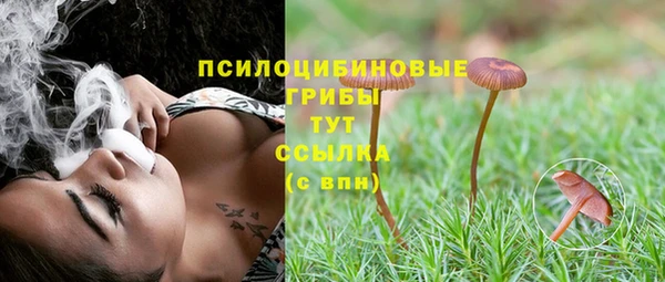 мяу мяу мука Богородицк