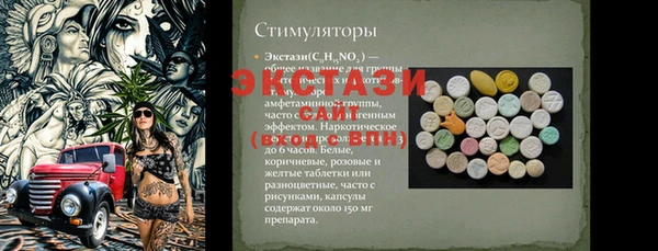 spice Богородск