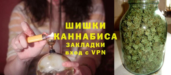 spice Богородск